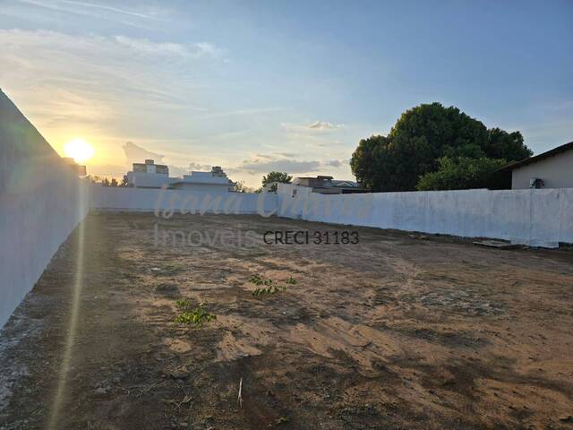 #52 - Área para Venda em Luís Eduardo Magalhães - BA - 3