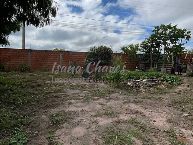 #145 - Área para Venda em Luís Eduardo Magalhães - BA - 2