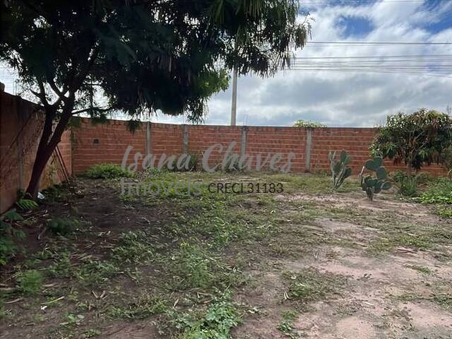 #145 - Área para Venda em Luís Eduardo Magalhães - BA - 3