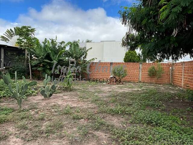 Área para Venda em Luís Eduardo Magalhães - 5